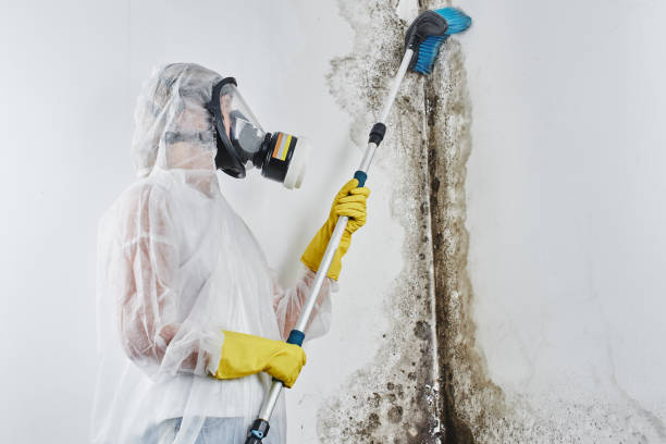 Crawl Space Mold Removal in Utica, NE