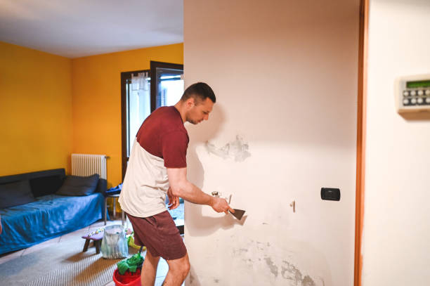 Best Commercial Mold Removal  in Utica, NE